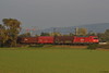 185 217-7 [f] zwischen Ladenburg und M-Friedrichsfeld