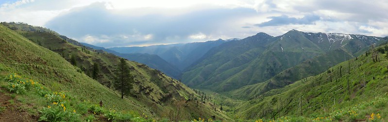 Looking into Hells Canyon from Freezeout Saddle