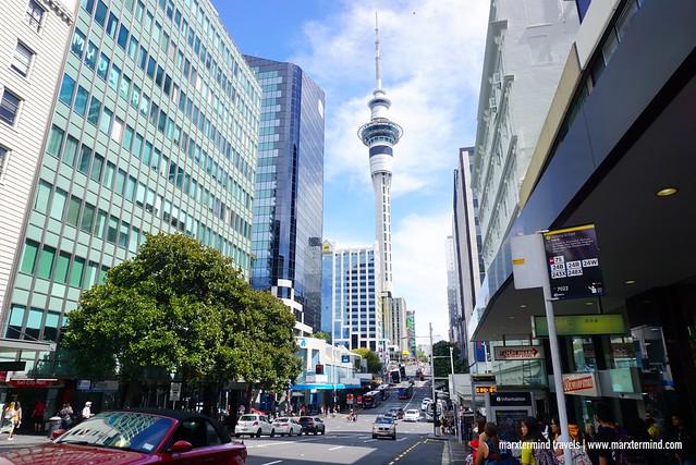 Auckland City New Zealand