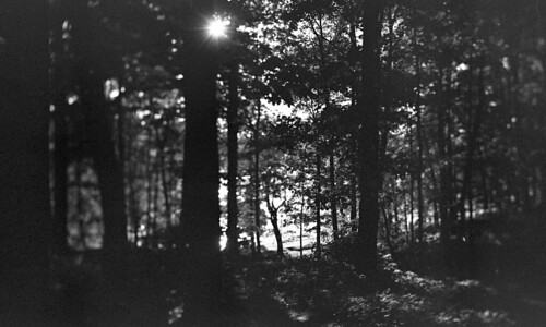 Forest Pond | Canon EOS 1, Canon TS-E 24 \u043c\u043c f\/3.5L II, Kodac\u2026 | Flickr