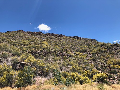 landscape arizona