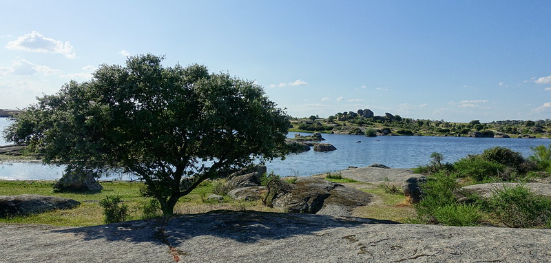 Los Barruecos, Malpartida de Cáceres y Garrovillas de Alconetar (Cáceres). - Recorriendo Extremadura. Mis rutas por Cáceres y Badajoz (22)