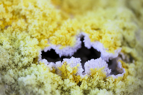 Sulfur fractals | by David M. Stucki