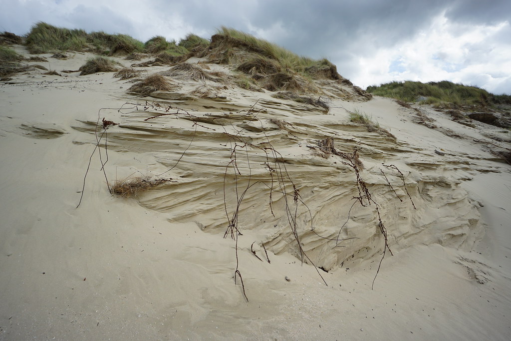 Barbed wire emerging from the dunes