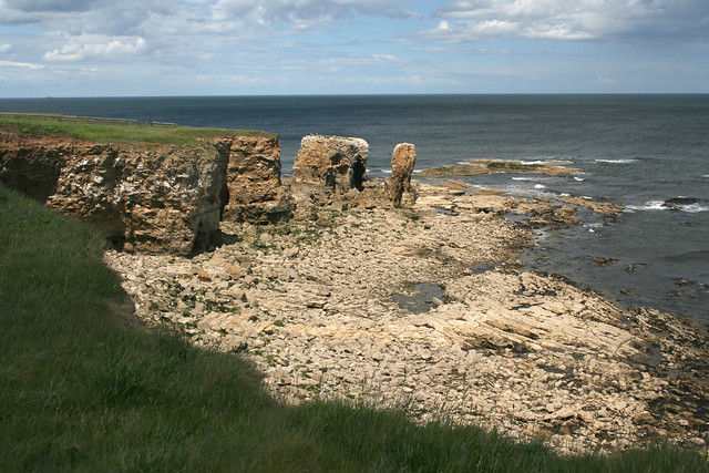 The coast at Whitburn