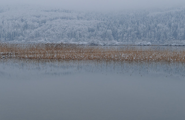 Cerknica Lake