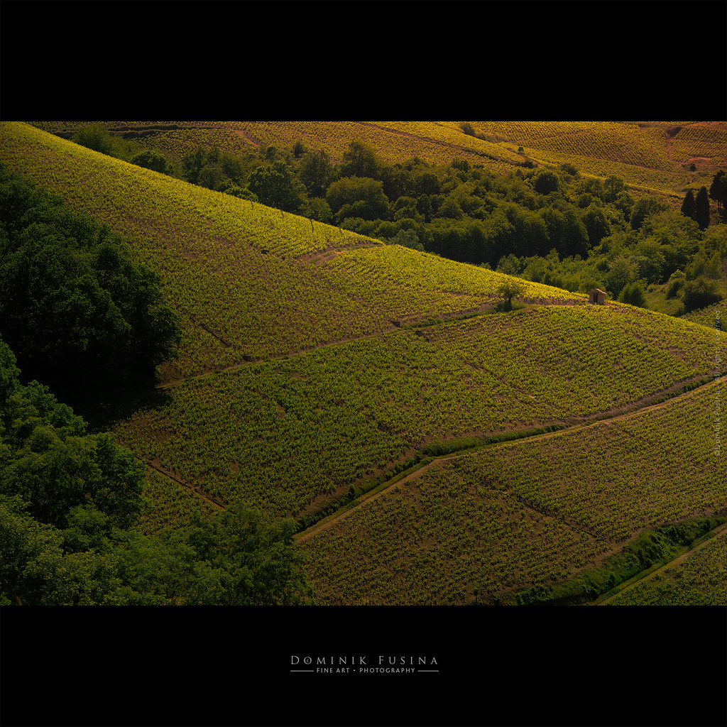 Chiroubles - Spring in Beaujolais