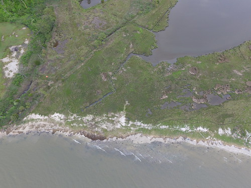 Satellite photo of part of Maryland shoreline