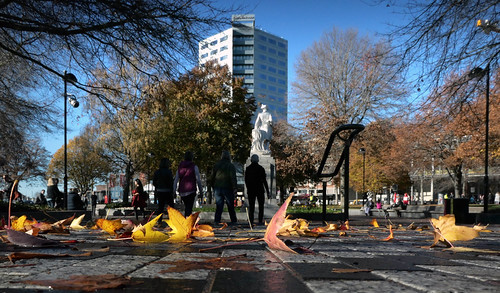 Autumn Victoria Square. | by Bernard Spragg