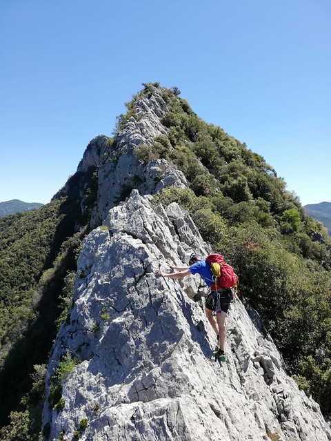 IMG-20190601-WA0024