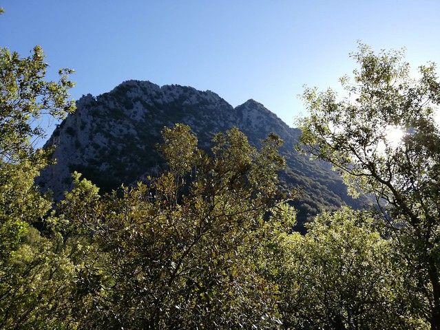 IMG-20190601-WA0033