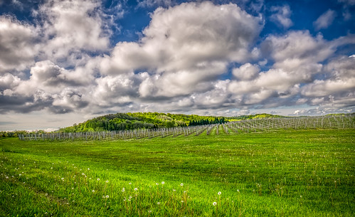 45north leelanau vineyard clouds landscape wine suttonsbay michigan unitedstatesofamerica