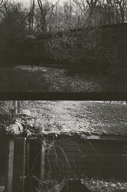 35mm. Half frame by Canon Dial 35