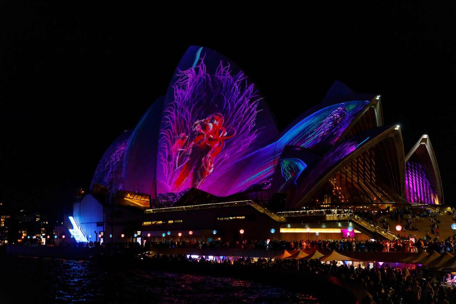 Sydney Opera House at Vivid Sydney