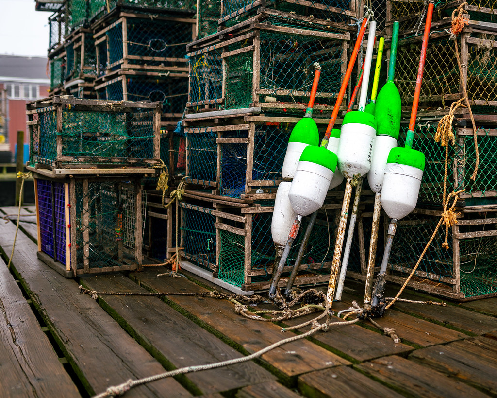 Buoys and Lobster Traps on Widgery Wharf