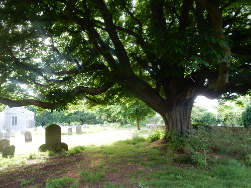Wye churchyard Sandling to Wye 