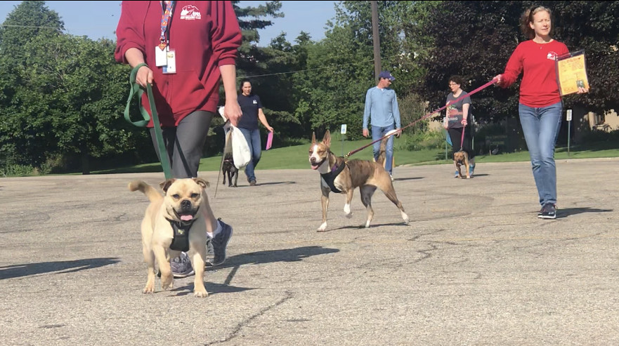 Dogs Lead The Way To A New Space in Ingham County