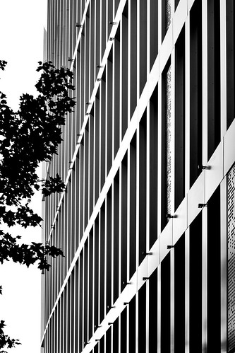 belgrade likefineart street blackandwhite black building tree architecture contrast photography photo fuji walk serbia experiment android flickrapp xt1 snapseed fujisession city lines white
