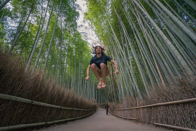 Over the Bamboo