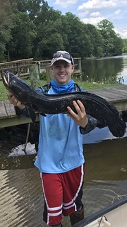 Photo of young man with big northern snakehead he caught.