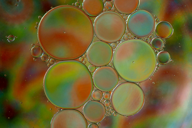 Bubbles of the Universe VII