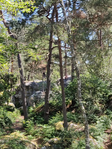 Fontainebleau 2019