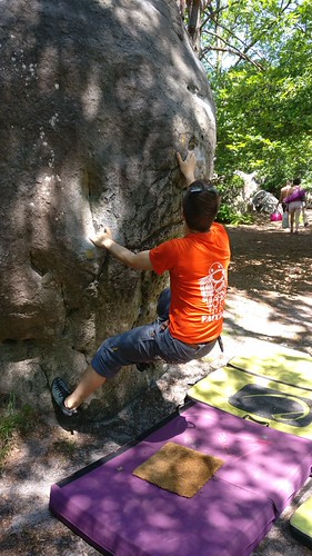 Fontainebleau 2019