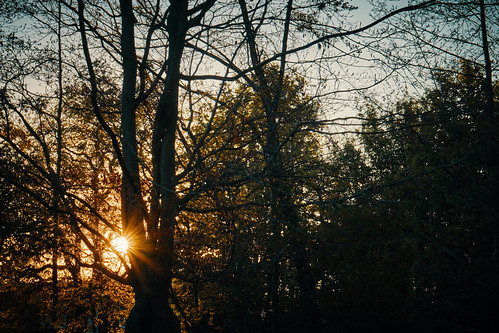 Winterswijk by Jos Mecklenfeld, sonya6000 sonyilce6000 sonyepz1650mm selp1650 achterhoek spring frühl