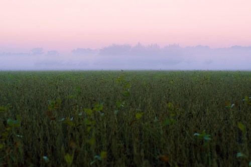 fog sunrise landscape dawn countryside