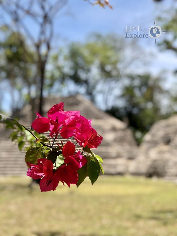 Belize 2019 Maya historic sites