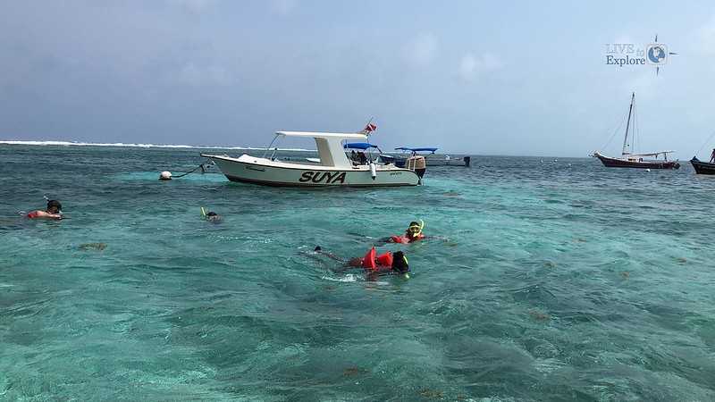 Hol Chan Marine Reserve tour Belize Adventure 2019