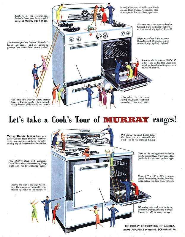 Murray 1951