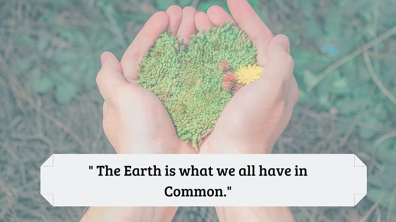 world environment day 2019 quotes 