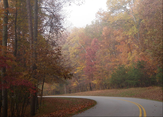 Park roads are some of the prettiest drives around, like this one at Leesylvania State Park, Va