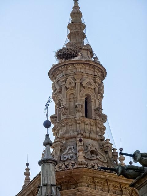 torre campanario exterior Concatedral de Santa Maria de la Redonda Logroño La Rioja 04