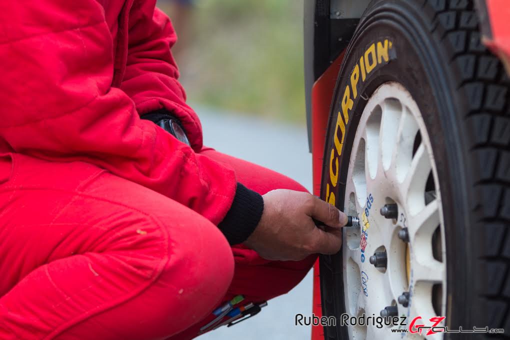 Rally Portugal WRC 2019 - Ruben Rodriguez