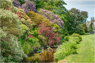 A Stream Of Early Summer Colour - Hartland Abbey, Devon. | by john lunt