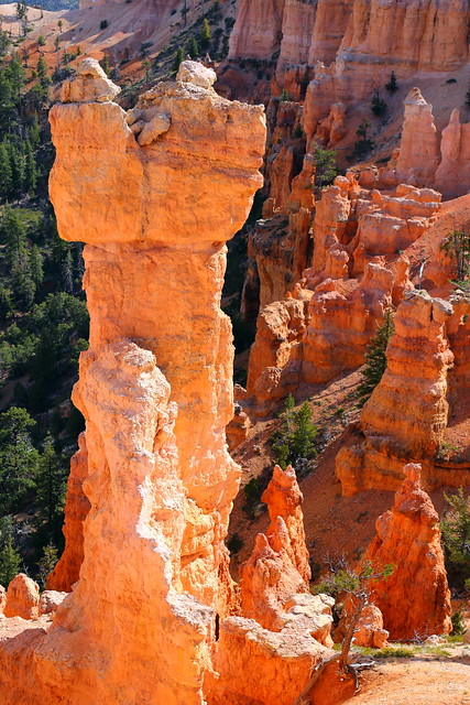 IMG_7875 Hoodoos on Under the Rim Trail, Bryce Canyon National Park