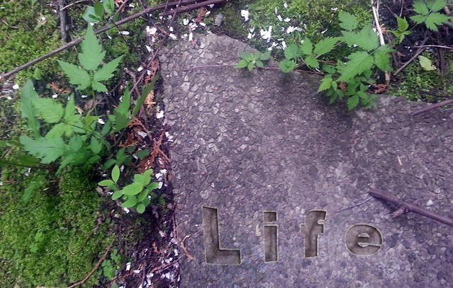 Life written in stone