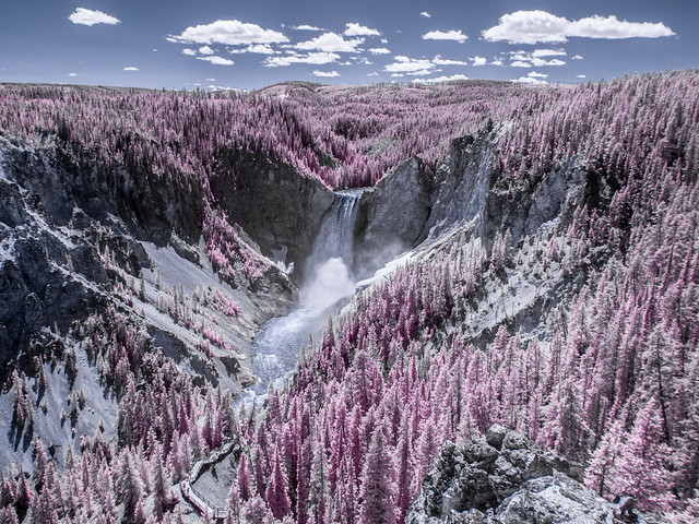 Lower Falls of the Yellowstone (Adventures in Infrared)