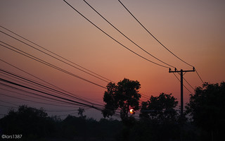 sunset wires
