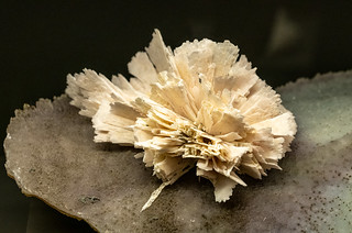 Kwarts - Terra Mineralia