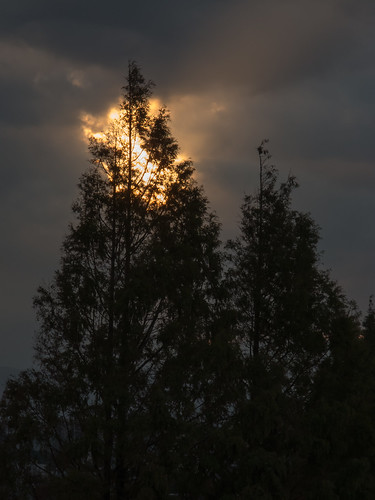 atmosphericphenomena campuses celestialobjects cloudssky crepuscularrays honshu japan locations machida obirin plants subjects sun sunsets tokyo trees