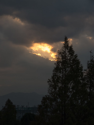 atmosphericphenomena campuses cloudssky honshu japan locations machida obirin plants subjects sunsets tokyo trees