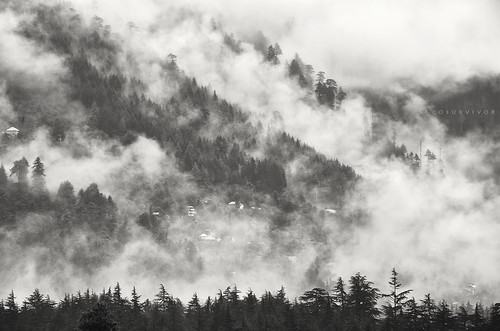 clouds valley manali himachal himalayas india incredibleindia yourshotphotographer indiapictures travel nature mountains landscape blackandwhite monochrome explore photography cosurvivor