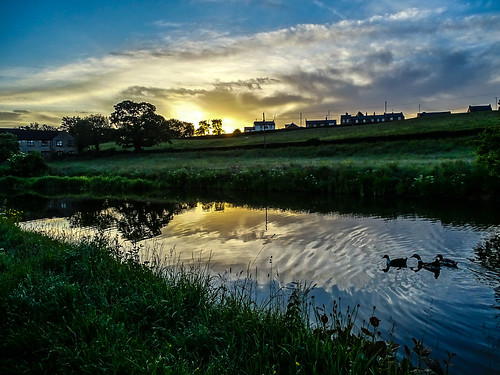 canal chorley sunrise water refelction wildlife lancashire morning
