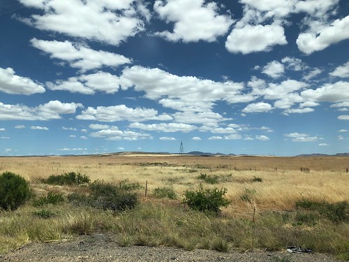 grass landscape arizona