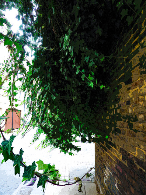 A Wall of Brick and Waves of Ivy