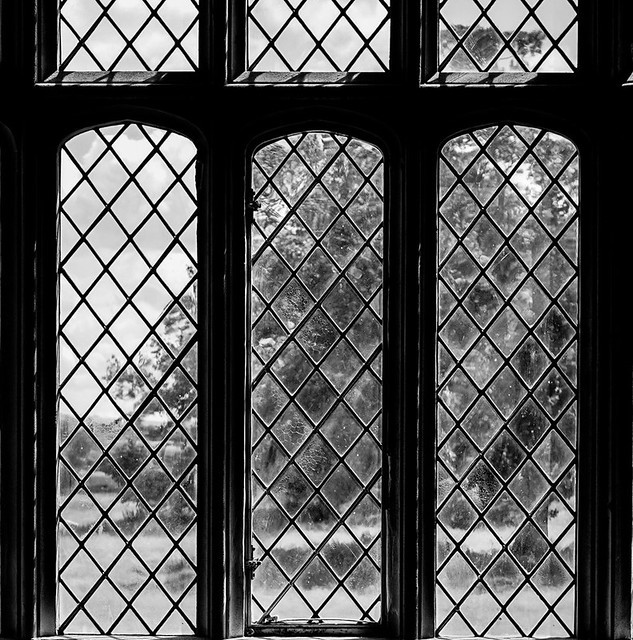 Part of THE window at Lacock