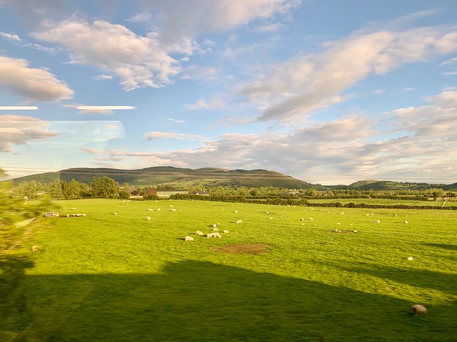 Irish Border Landscape from Train